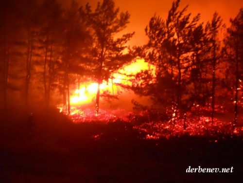 Пожары в Тольятти. Так горел лес в райне федеральной трассы М-5