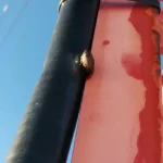 «Европа Плюс» разыгрывает билеты на концерт FEDUK в Санкт-Петербурге