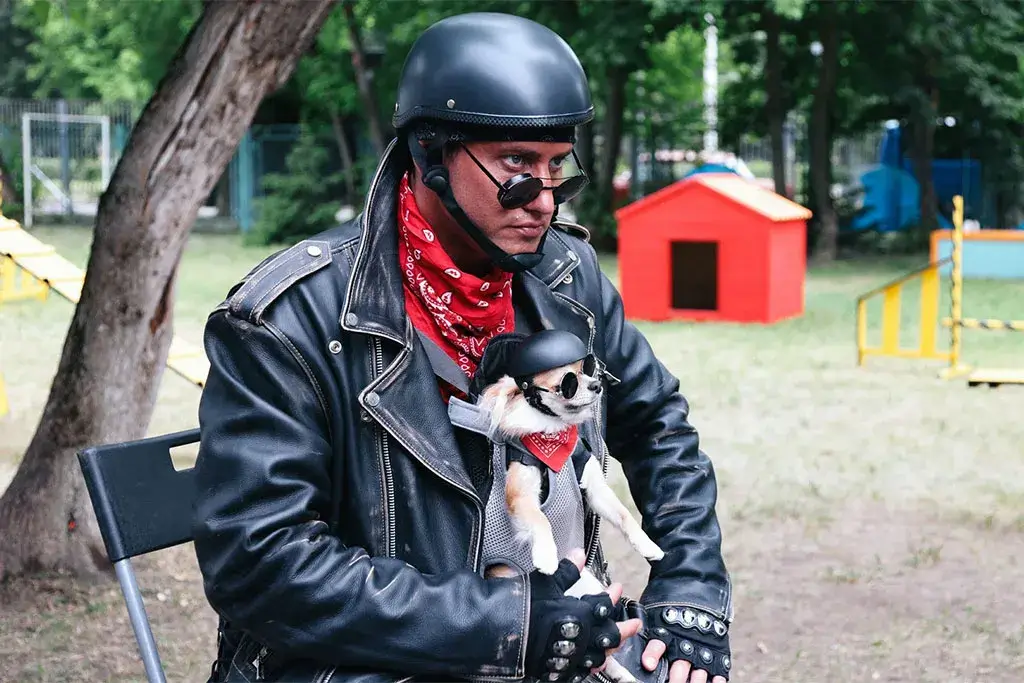 «Юмор FM» поддержал премьеру фильма «Приключения желтого чемоданчика»