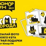 Тайный культ людей, которые слушают радио на кухне