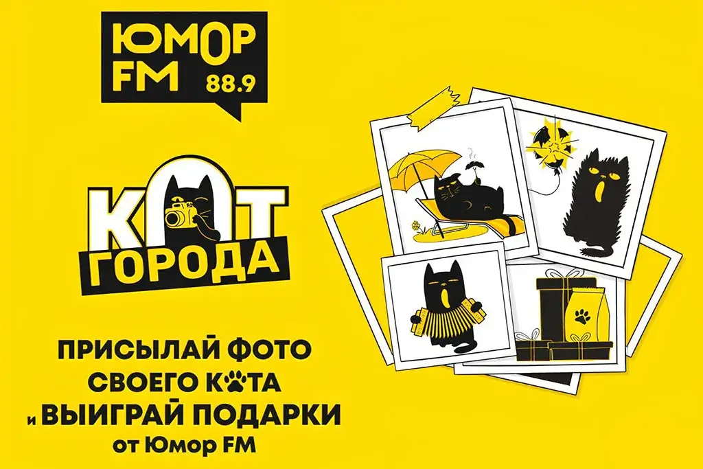 «Юмор FM – Санкт-Петербург» ищет главного кота города