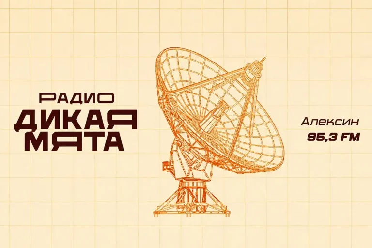 В Тульской области запустили тестовое вещание радио «Дикая Мята»