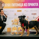 «Дискотека Детского радио» получила премию Best for Kids