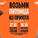 Алексей Воробьев представил «Короткую юбчонку» в эфире «Авторадио»