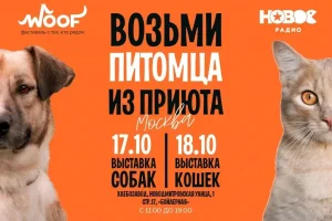 «Новое Радио» поддержит благотворительный фестиваль WOOF в Москве