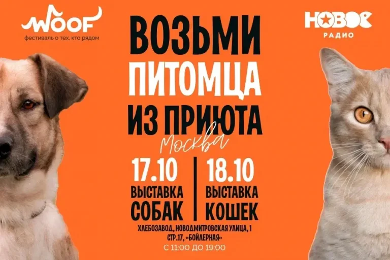 «Новое Радио» поддержит благотворительный фестиваль WOOF в Москве