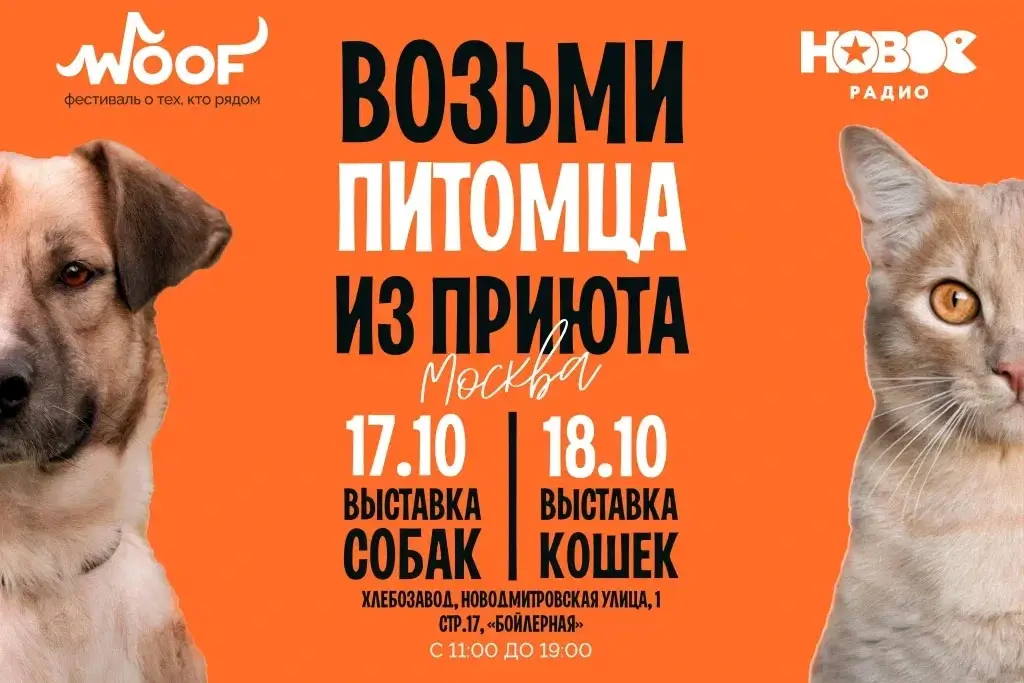 «Новое Радио» поддержит благотворительный фестиваль WOOF в Москве